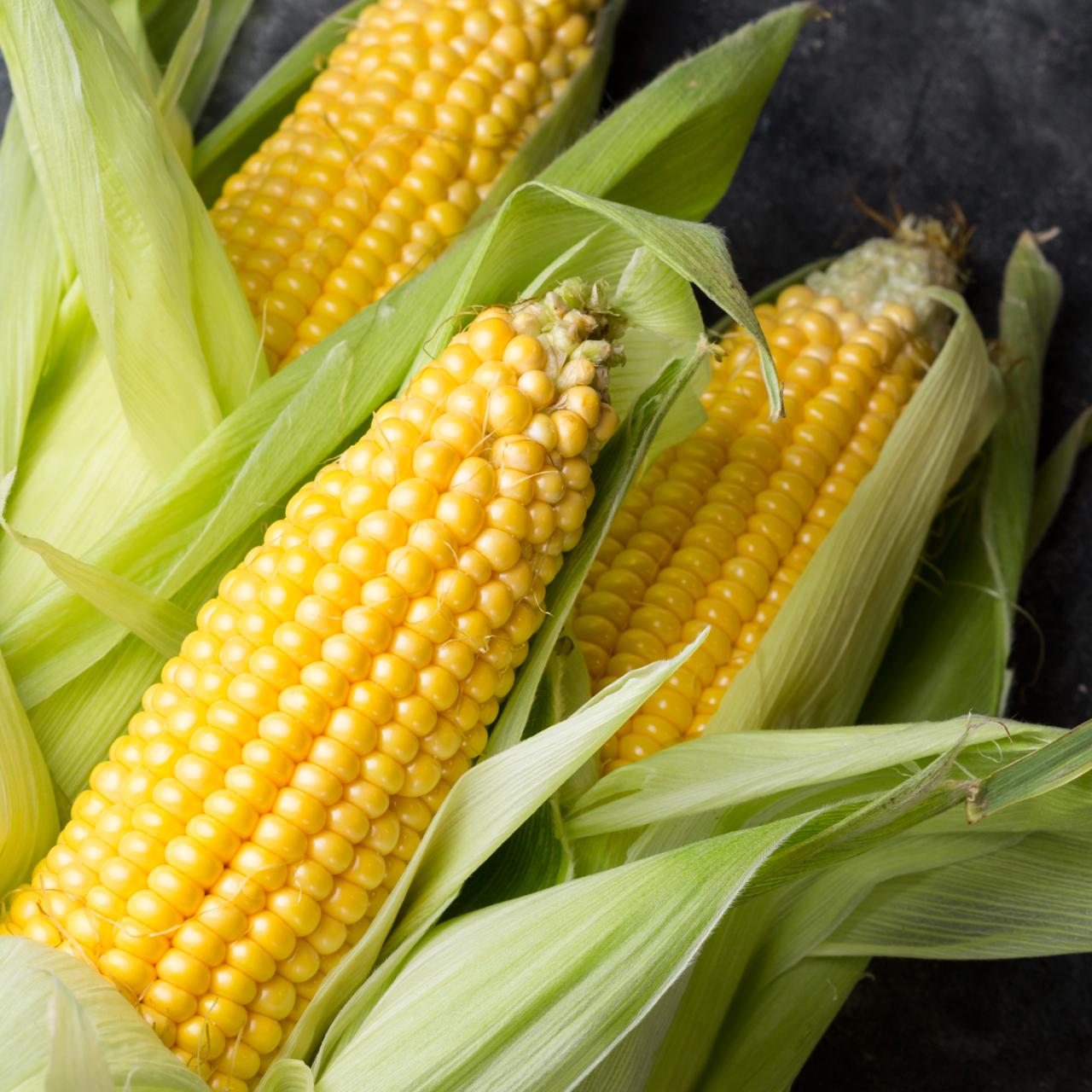 FreshMaize1