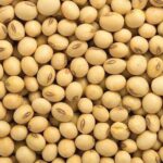 Soya Beans